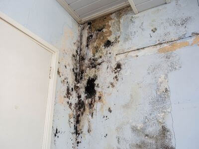 About Forest City Restoration - water damage restoration experts in London