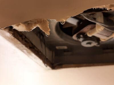 Professional water damage restoration services in London - Forest City Restoration