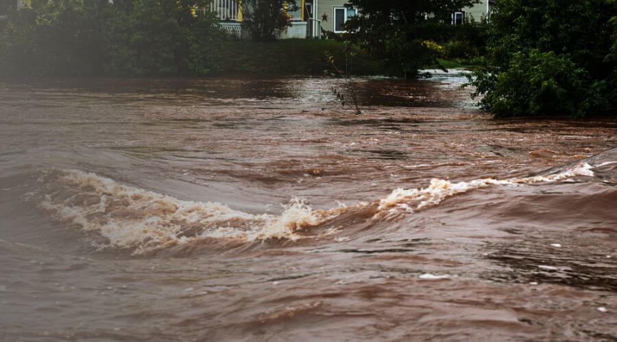 Why choose Forest City Restoration for water damage restoration in London